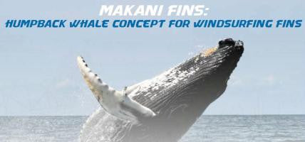 Humpback Whale Concept For Windsurfing Fins